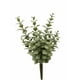 thumbnail image 1 of Ramo Decorativa Arbusto Money Gris, 1 of 2