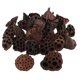 thumbnail image 1 of 150 Uds. Flores De Vaina De Loto Secas Naturales Fruta Para Manualidades Decorativas Florales DIY, 1 of 5