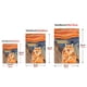 thumbnail image 2 of 1pc Screaming Cat With Fluid Sky Canvas Painting Posters, Funny Animal No Frame Printed Wall Art Pictures, Home & Room Decoration, 2 of 2