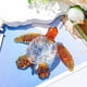 thumbnail image 4 of Adornos De Vidrio De Tortuga, Material De Vidrio Artesanal, Diseño De Imagen De Tortuga, Regalos De Colección, Arte Del Vidrio, Tortuga, Animal, Decoración Del Hogar, 4 of 4