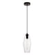 thumbnail image 3 of Lámpara Colgante Elegant Lighting Placido Negra Transparente 36 cm, 3 of 8
