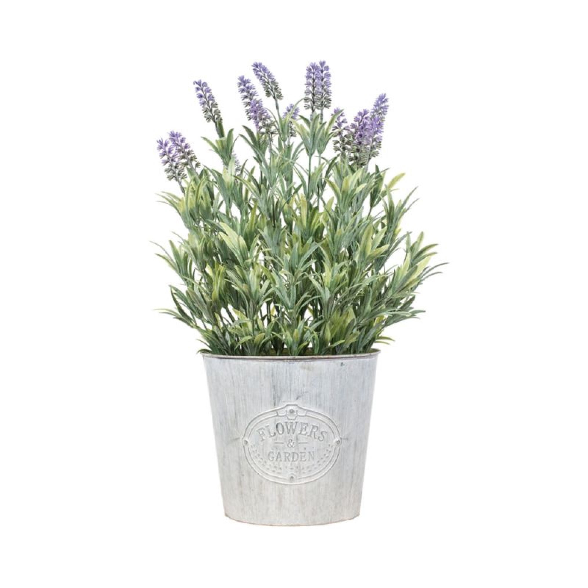 Planta Decorativa Lavanda 60 cm