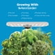 thumbnail image 4 of Crema AeroGarden Harvest Lite para jardín hidropónico de interior, 4 of 9