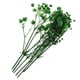 thumbnail image 1 of Hojas prensadas Flores secas naturales Tarjetas Scrapbooking haciendo verde, 1 of 5