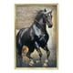 thumbnail image 1 of Cuadro Decorativo Elegancia Equina Adorno Pieza Pared Jhn, 1 of 3