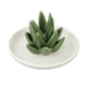 thumbnail image 1 of Bandeja De Soporte De Joyería De Aloe De Cerámica, Organizador De Pendientes, Decoración, Estilo De Regalo 2, 1 of 5