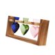 thumbnail image 1 of Maceta Hidropónica Para Plantas, Terrario Para Mesa De Comedor, Cocina De Estilo Rústico, 1 of 5