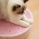 thumbnail image 4 of Rascador De Cama Con Forma Redonda De Sisal De Frutas, 4 of 5