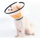thumbnail image 3 of Collar Isabelino Para Perros O Gatos Talla 3 Isabelino Color Multicolor Negro Blanco, 3 of 3
