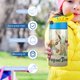 thumbnail image 5 of Rana y Sapo Botella de Agua con Tapa Pop Top de Un Toque, Acero Inoxidable, a Prueba de Fugas, para Deportes, Botella Infantil azul 12 oz, 5 of 6