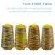 thumbnail image 5 of Hilo WAFASSZD Variegado Pack de 4 (3000 yd por carrete), 5 of 6