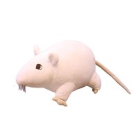 Bothyi - Muñeco De Peluche Para Ratones, Juguete De Peluche Interactivo Para Regalo, Colección Para Niños, Blanco