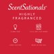 thumbnail image 4 of Wax Melts Scentsationals, aroma a manzana y canela, 300 ml (24 cubos), 4 of 7