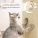 thumbnail image 4 of Condominio Cat Tree Tower SHA CERLIN 165 cm para gatos de interior, color beige, 4 of 9