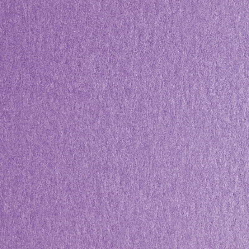 Carpeta Color Violeta 50 X 70 Cm 1 Un Artel