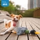 thumbnail image 4 of Juguete masticable interactivo para perros Squeaky, Best Pet Supplies, alas de pato real (gris) para, 4 of 5