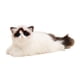 thumbnail image 2 of Animal De Peluche Modelo De Gato De Peluche Acurrucado Para Regalo De Amigo Antes De Dormir Para Recuerdo De Fiesta, 2 of 5