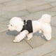 thumbnail image 5 of Chaleco tipo arnés Mr. Peanut's PupTrek para perros y gatos pequeños (negro), 5 of 5