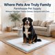 thumbnail image 5 of Almohadillas para cachorros Farmhouse Pet Supply 91 × 91 cm, paquete de 30, 5 of 9