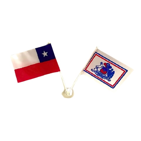 Genérico - Set Bandera Chilena Escudo Chile Chupon Fiestas Patrias