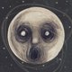 thumbnail image 1 of Música TRANSMISSION – El cuervo que se negó a cantar, 1 of 1