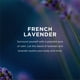 thumbnail image 3 of Spray desinfectante para manos EO Organic Lavender 60 ml (paquete de 2), 3 of 7
