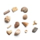 thumbnail image 3 of Juguete STEM de arqueología y ciencia para excavar ladrillos fósiles, 12 unidades, Dan & Darci, 3 of 6