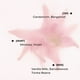 thumbnail image 2 of Perfume PHLUR Eau de Parfum Not Your Baby 50 ml para mujer, 2 of 3