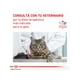 thumbnail image 3 of Alimento Royal Canin Gastrointestinal Para Gato Adulto - Lata De 145g amarillo, 3 of 3