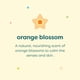 thumbnail image 3 of Champú y gel de baño Babyganics Orange Blossom 480 ml (x3), 3 of 9