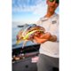 thumbnail image 5 of ¡Cebo Berkley Gulp! ¡Vivo! Olor a pececillo, 10 cm (355 ml), 340 g, 5 of 7
