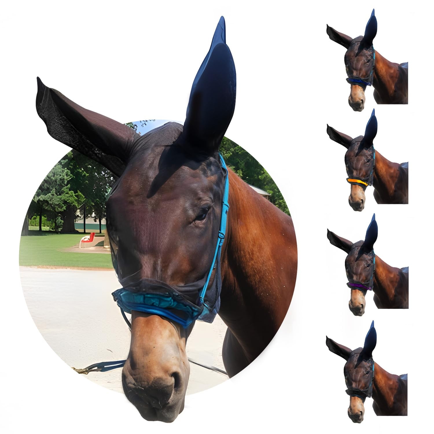 Máscara Antimoscas Para Burro Orejas Largas Malla Suave