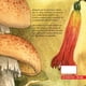 thumbnail image 2 of El cururo incomprendido y otros cuentos, 2 of 5