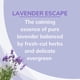 thumbnail image 3 of Ambientador Citrus Magic Olor Absorbe Lavanda 240 ml x3, 3 of 8