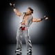 thumbnail image 5 of Figura de acción de Shawn Michaels de WWE de 15 cm con accesorios, 5 of 6