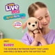 thumbnail image 2 of Peluche Interactivo Little Live Pets Buddy Retriever, 2 of 3