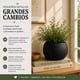 thumbnail image 4 of Macetero Plastico Redondo Tipo Piedra Decorativo Jardin S negro, 4 of 10