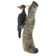 thumbnail image 3 of Pájaro de plástico modelo estatuilla figura de acción ni?os juguete regalo ornamento carpintero, 3 of 5