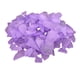 thumbnail image 3 of 500g Frosted Light Sea Beach Jarrón De Vidrio Relleno DIY Acuario Decoración Púrpura, 3 of 5