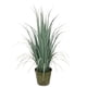 thumbnail image 1 of Planta Decorativa Pasto Grueso Gris 91 cm, 1 of 2