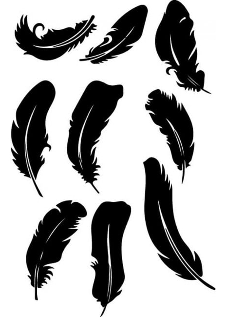 Rienda Libre Graphics - Decomural Feather Bird Set Ws-32981