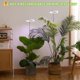 thumbnail image 2 of Plant Grow Light Yadoker Full Spectrum para plantas de interior, paquete de 2, 2 of 5