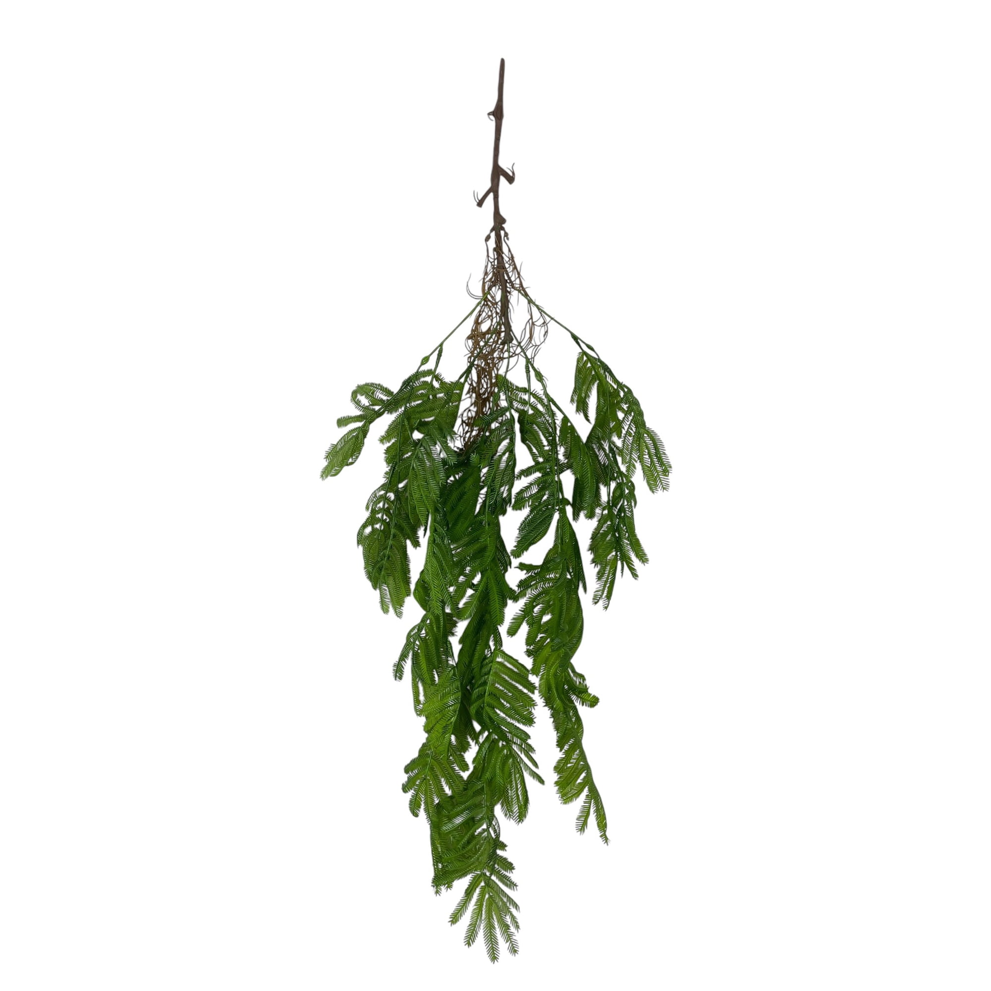 Corel - Helecho Colgante Mimosa 80cm