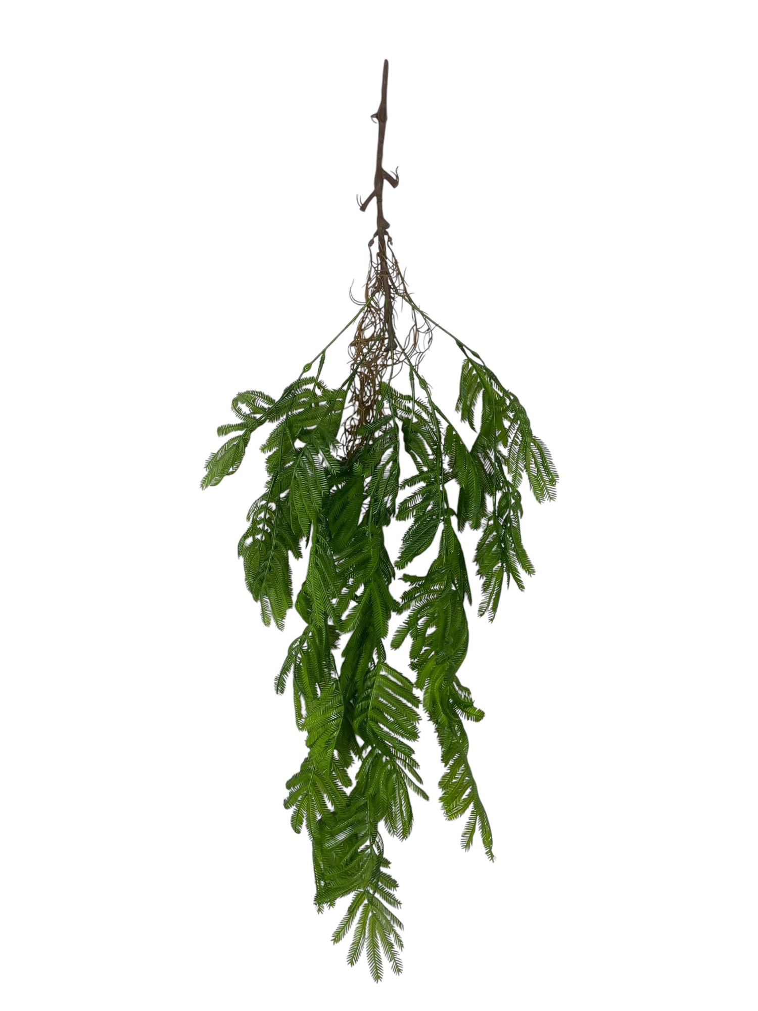 Corel - Helecho Colgante Mimosa 80Cm