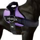 thumbnail image 1 of Arnés Joyride 2.0 Lavanda Talla L, 1 of 8
