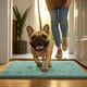 thumbnail image 5 of Alfombra para puerta de perro MUDGUARD MAT 91 cm verde mar absorbente, 5 of 5
