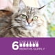 thumbnail image 4 of Tratamiento antipulgas TevraPet Actispot II para gatos de 2,3 a 4,1 kg, 6 dosis, 4 of 8