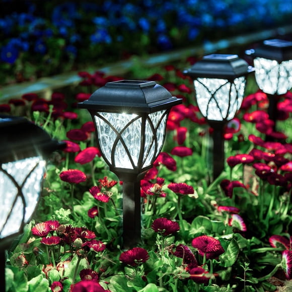 Luces Solares Para Jardín 6 Unidades Led Impermeables Luz Blanca Fría