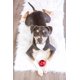 thumbnail image 4 of Juguete para perros Pet Qwerks Blinky Babble Ball – Tamaño grande, 4 of 5