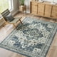 thumbnail image 1 of Alfombra Area Dripex Vintage, lavable, 90 x 150 cm, para interiores, antideslizante, 1 of 3